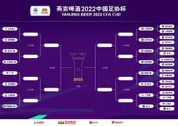 金年会登录入口-意大利杯赛制规则详解